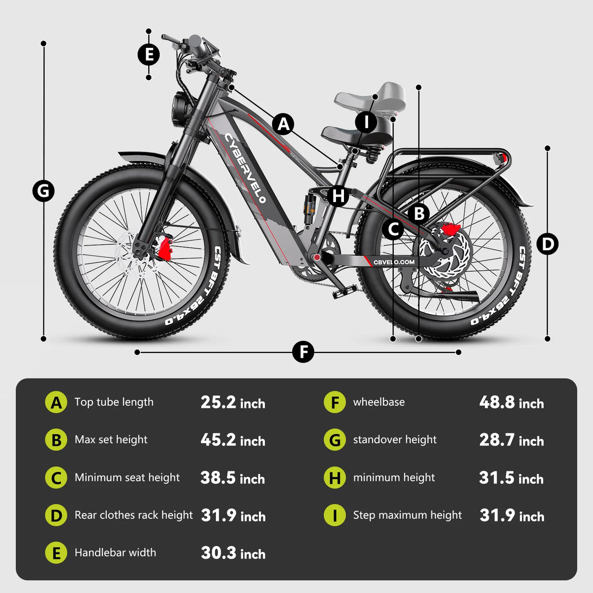 Lionland Fat Tire Electric Bicycle All Terrain Long Range Design