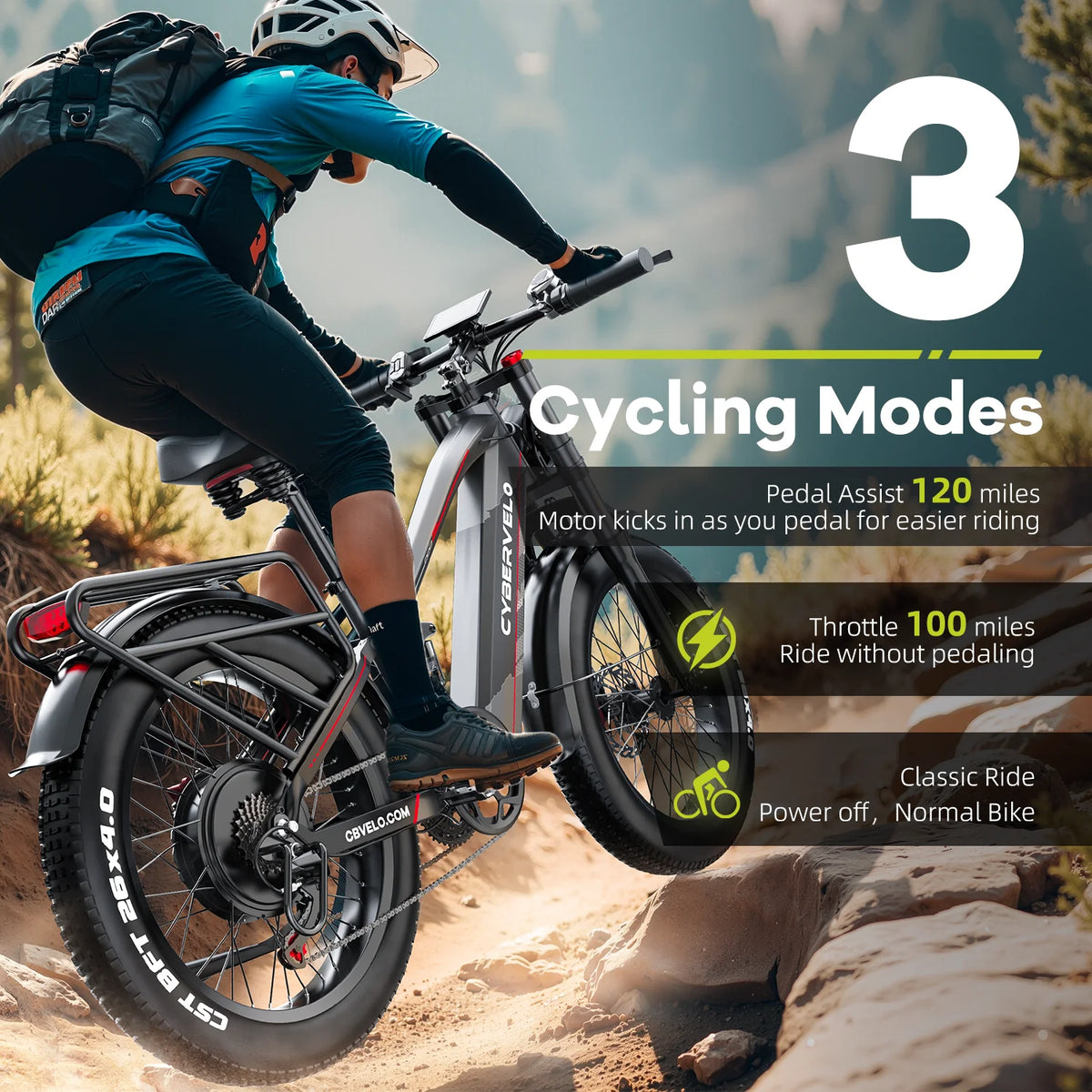 Lionland Fat Tire Electric Bicycle All Terrain Long Range Design