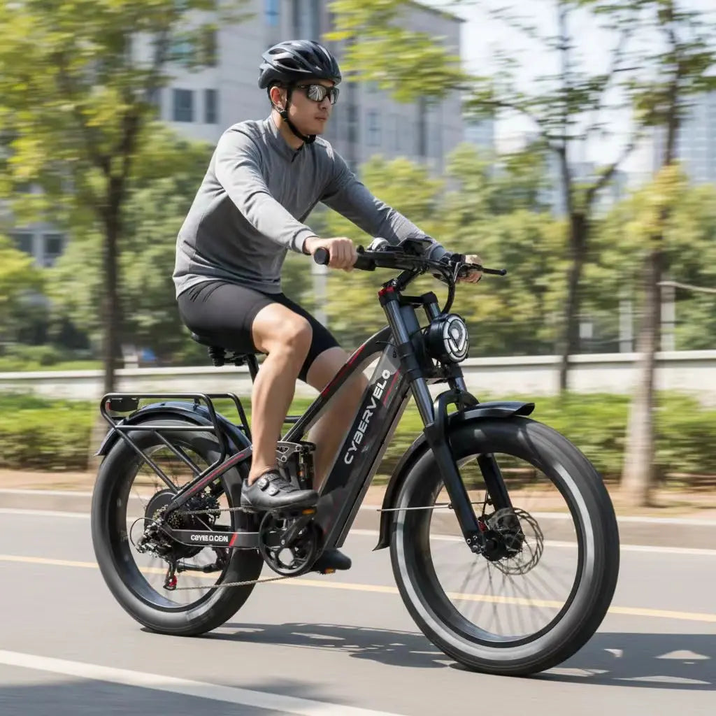 Lionland Fat Tire Electric Bicycle All Terrain Long Range Design