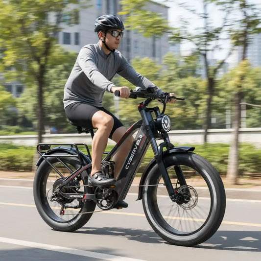 Lionland Fat Tire Electric Bicycle All Terrain Long Range Design