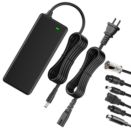 48V Lithium Battery Electric Scooter Fast Charger Power Adapter