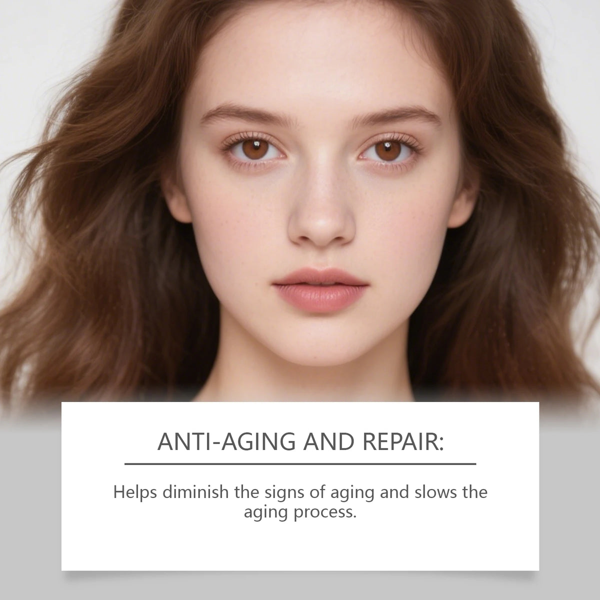 Korean Centella Asiatica Anti Aging Hydrating Firming Face Cream